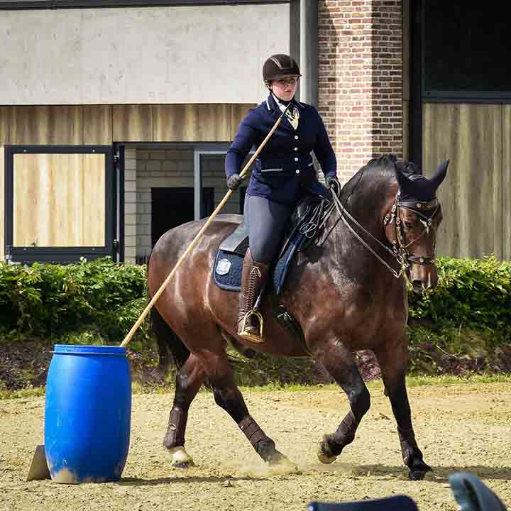 Working Equitation goes Münsterland_Home_klein